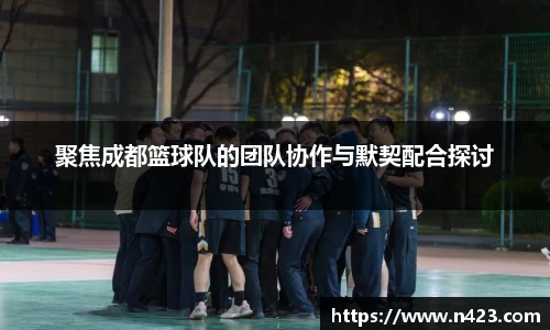 星空·综合体育中国官网